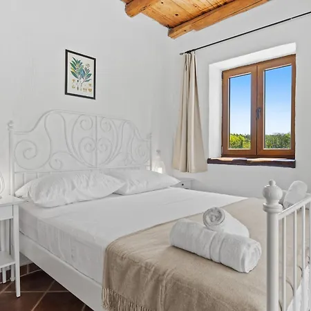 Villa Brioni With Pool By Rentistra